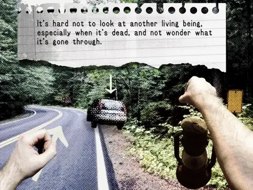 Eulogy for bugs. (Leo, OK MR. SUNSHINE!)