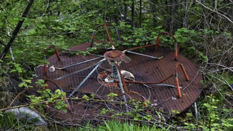 The Watcher (Turtle Cream, Sun Park, amisuki)