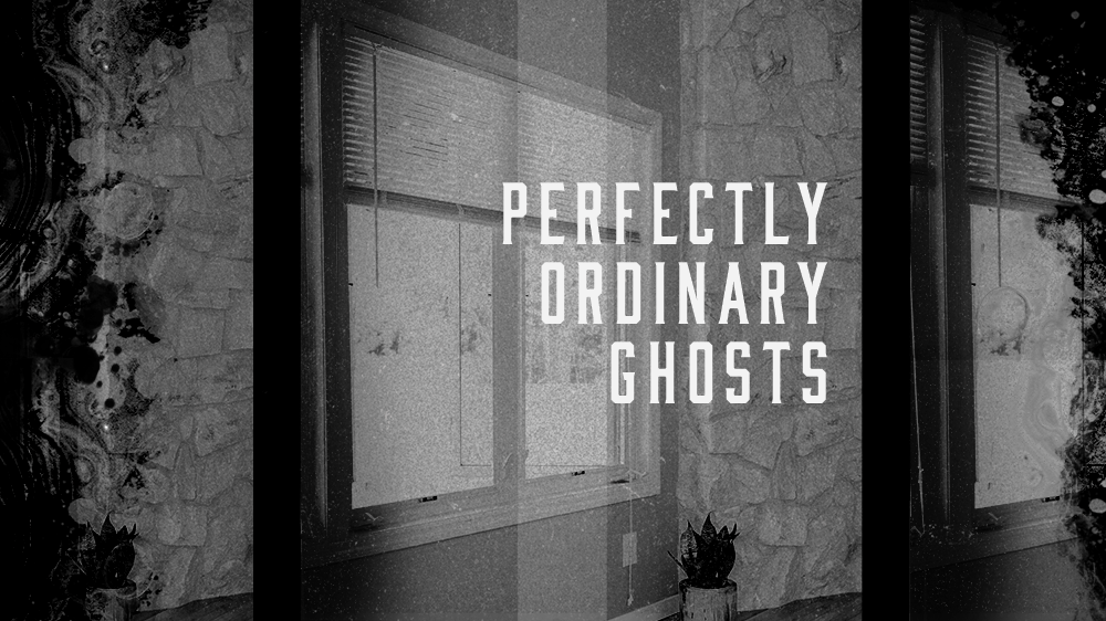 Perfectly Ordinary Ghosts (Victoria Smith)
