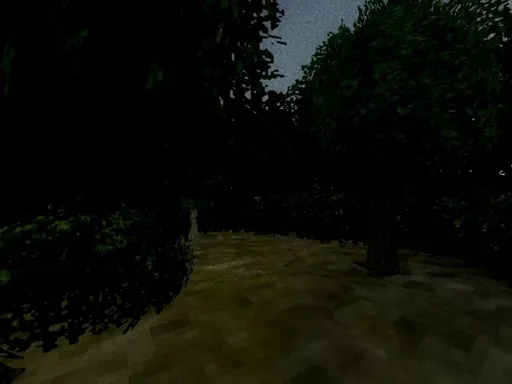 The Night (Monsanima)